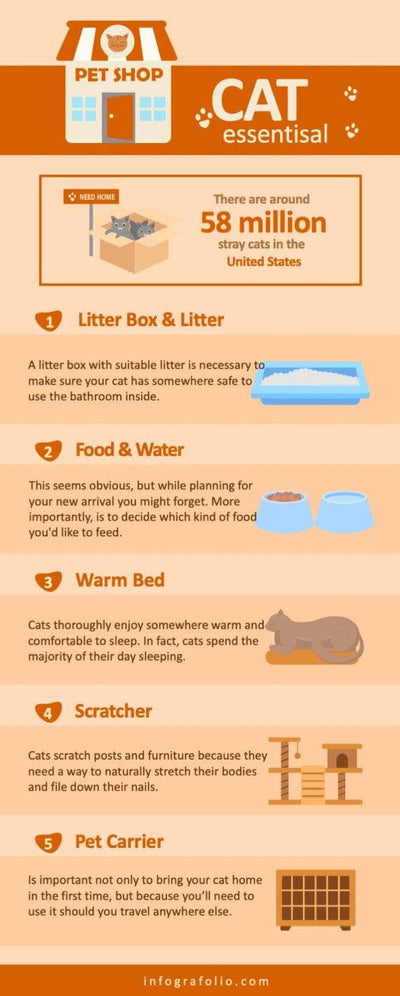 Pets-Infographics Infographics Orange Cat Essentisal Pets Infographic Template powerpoint-template keynote-template google-slides-template infographic-template