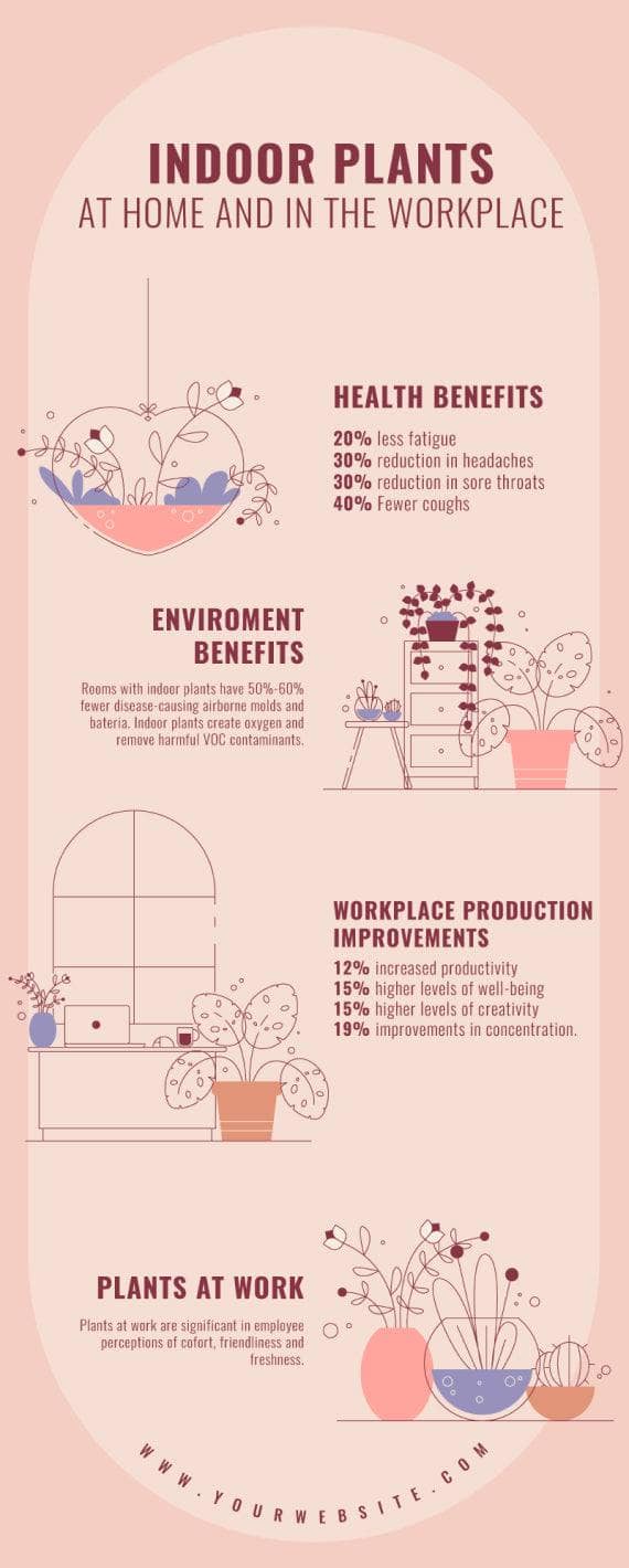 indoor plants infographic Indoor Plants at Home and in the Workplace Self Care Infographic Templ