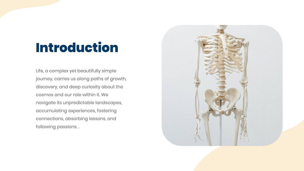Presentation On Anatomy Powerpoint Human Anatomy Creative Powerpoint