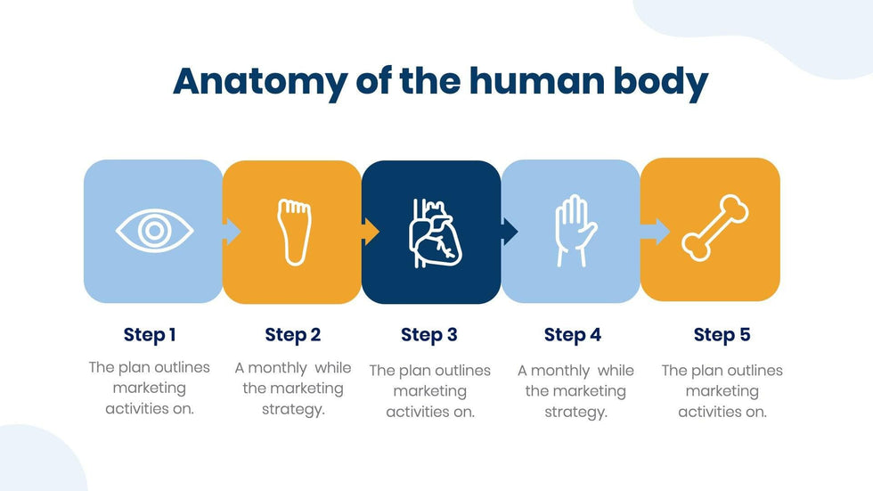 Medical-Presentation-Templates Slides Blue Light and Yellow Simple Anatomy Presentation Template S07252301 powerpoint-template keynote-template google-slides-template infographic-template