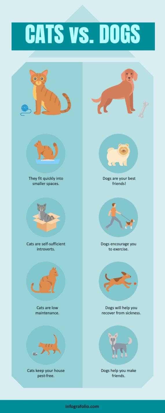 Aquamarine Cats vs Dogs Pets Infographic Template Infografolio