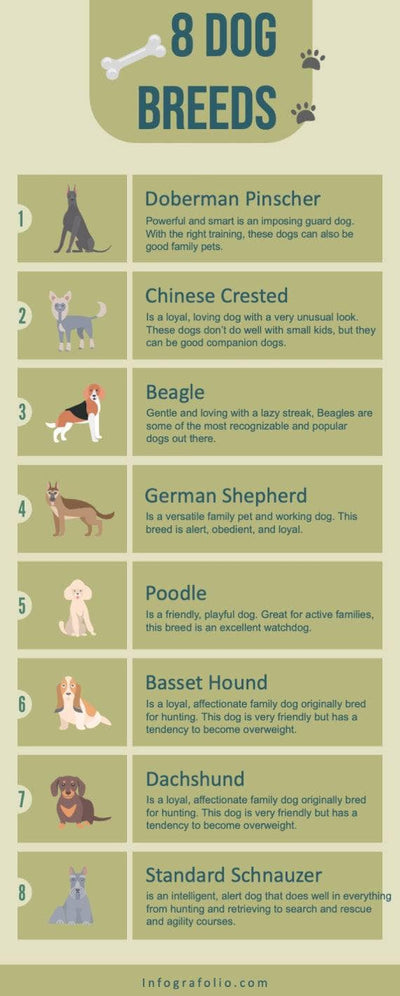 Pets-Infographics Infographics Light Green Eight Dog Breeds Pets Infographic Template powerpoint-template keynote-template google-slides-template infographic-template