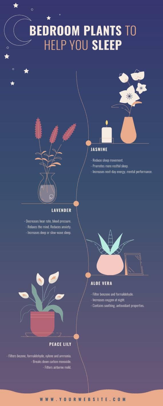 Bedroom Plants to Help You Sleep Self Care Infographic Template ...