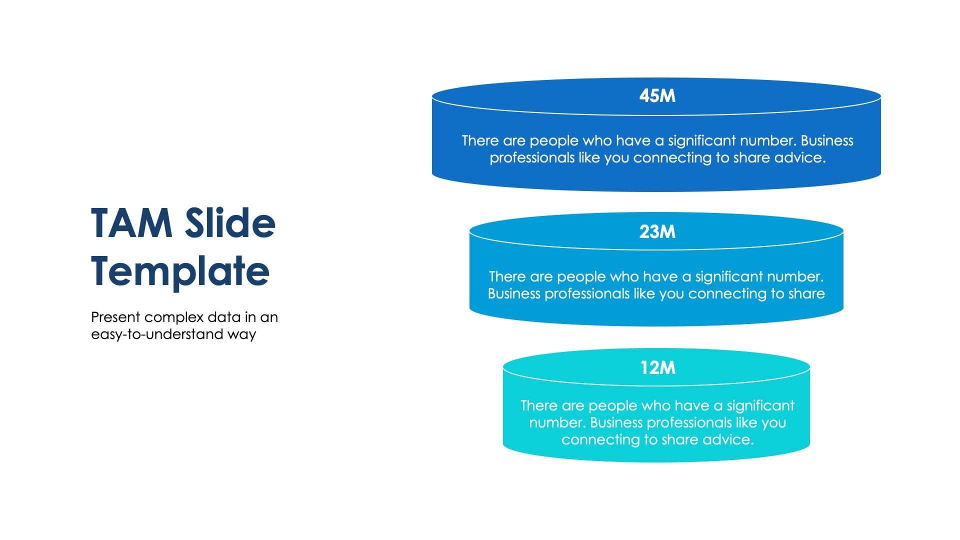 TAM Slide Infographic Template S09042303 | Infografolio