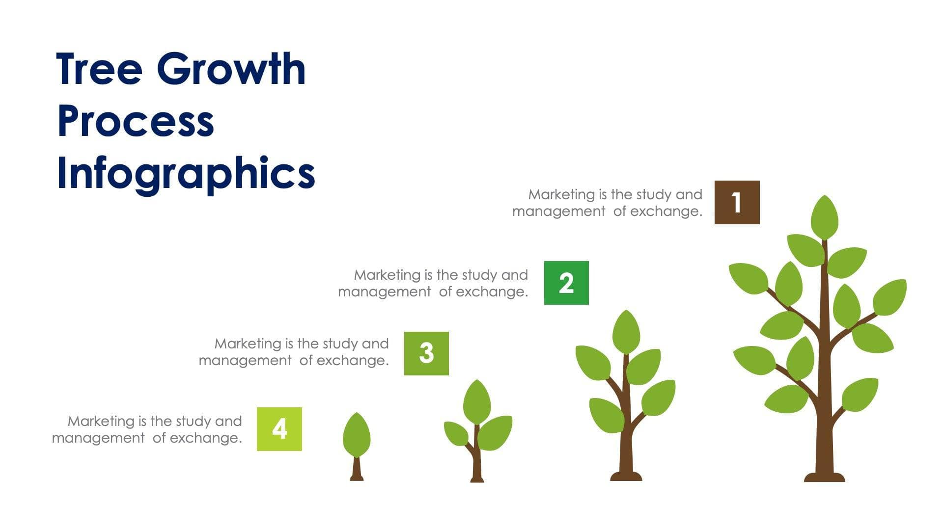 Tree Growth Process Slide Infographic Template S12202302 | Infografolio