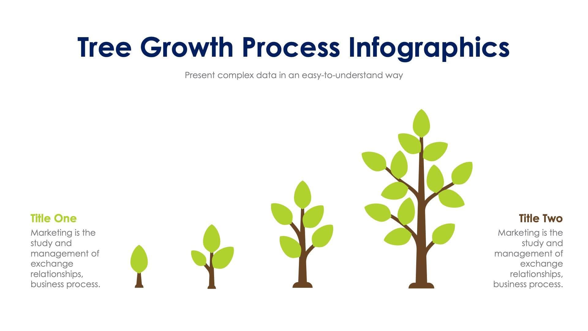 Tree Growth Process Slide Infographic Template S12202305 | Infografolio