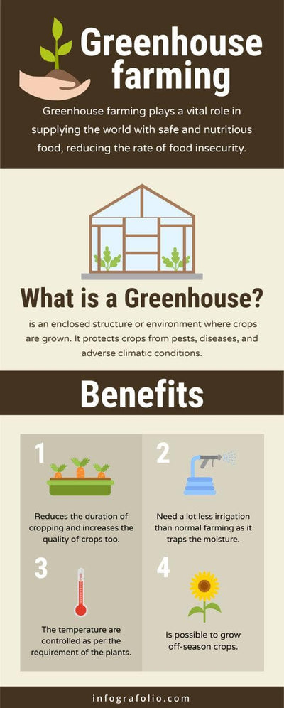Agriculture-and-Farm-Infographics Infographics Greenhouse Farming Agriculture and Farm Infographic Template powerpoint-template keynote-template google-slides-template infographic-template