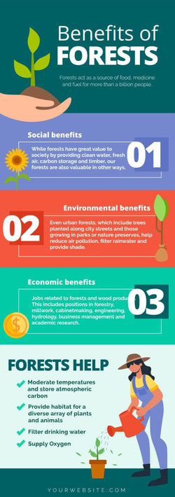 Agriculture-Infographics Infographics Benefits of Forests Agriculture Infographic Template powerpoint-template keynote-template google-slides-template infographic-template