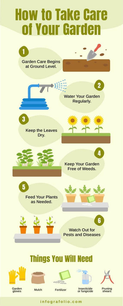 Agriculture-Infographics Infographics How to Take Care of your Garden Agriculture and Farm Infographic Template powerpoint-template keynote-template google-slides-template infographic-template