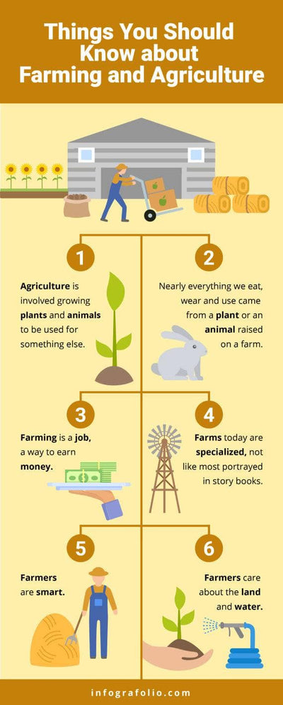 Agriculture-Infographics Infographics Things you Should Know About Farming and Agriculture Infographic Template powerpoint-template keynote-template google-slides-template infographic-template