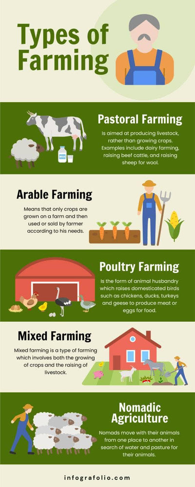 Agriculture-Infographics Infographics Types of Farming Agriculture Infographic Template powerpoint-template keynote-template google-slides-template infographic-template