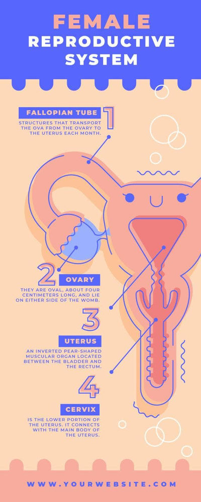 Anatomy-Infographics Infographics Violet Female Reproductive System Anatomy Infographic Template powerpoint-template keynote-template google-slides-template infographic-template