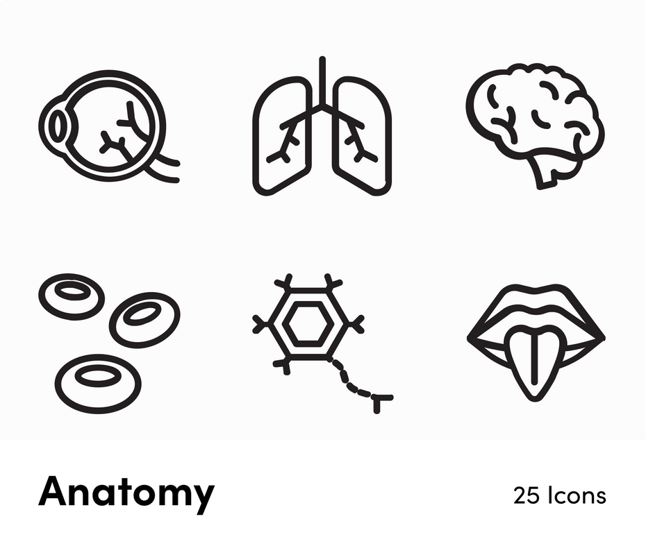 Anatomy-Outline-Vector-Icons Icons Anatomy Outline Vector Icons S12172101 powerpoint-template keynote-template google-slides-template infographic-template