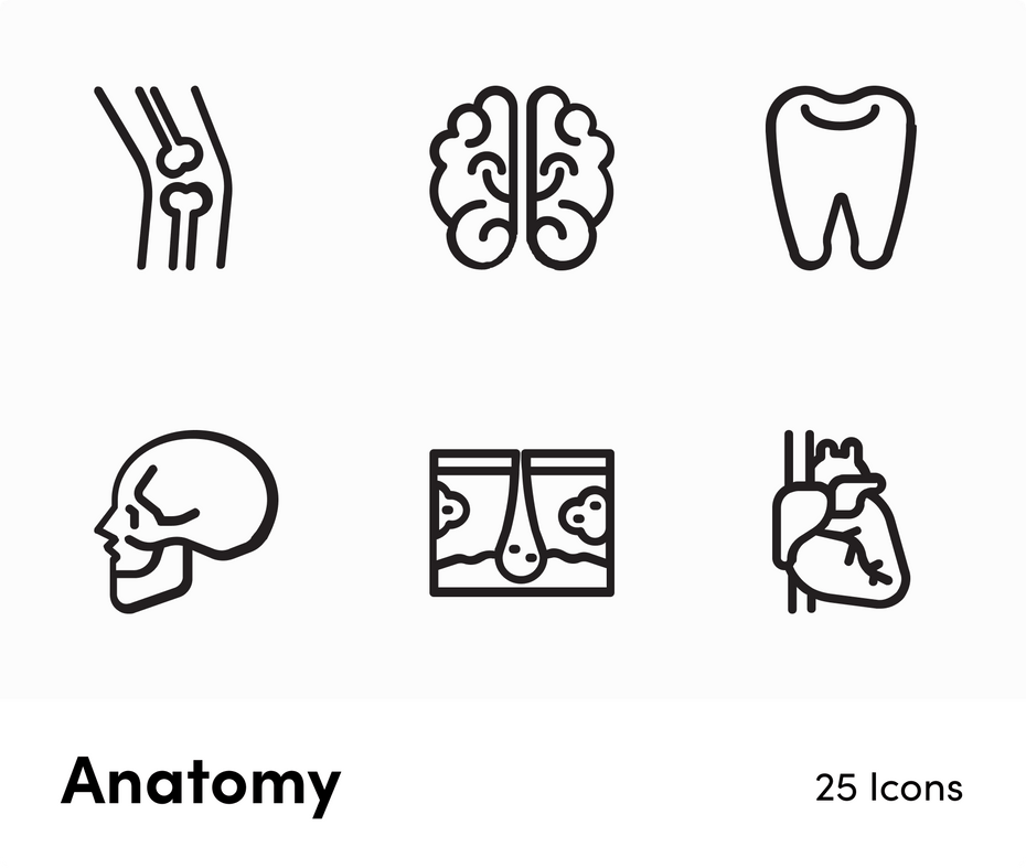 Anatomy Outline Vector Icons S12172102 – Infografolio
