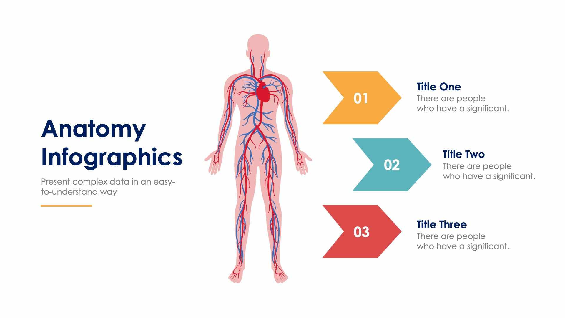 Anatomy Slide Infographic Template S01122205 | Infografolio