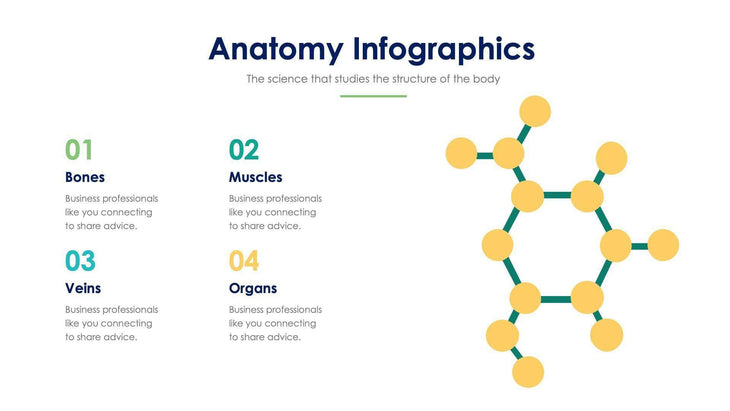 Anatomy Slide Infographic Template S11192103-Slides-Anatomy-Slides-Powerpoint-Keynote-Google-Slides-Adobe-Illustrator-Infografolio