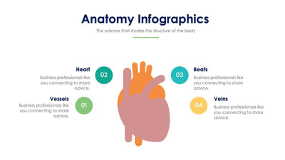 Anatomy Slide Infographic Template S11192106-Slides-Anatomy-Slides-Powerpoint-Keynote-Google-Slides-Adobe-Illustrator-Infografolio