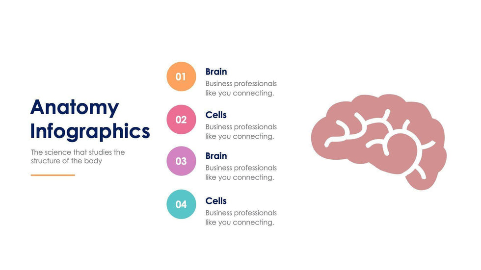 Anatomy Slide Infographic Template S11192111-Slides-Anatomy-Slides-Powerpoint-Keynote-Google-Slides-Adobe-Illustrator-Infografolio