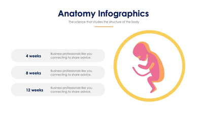 Anatomy Slide Infographic Template S11192112-Slides-Anatomy-Slides-Powerpoint-Keynote-Google-Slides-Adobe-Illustrator-Infografolio