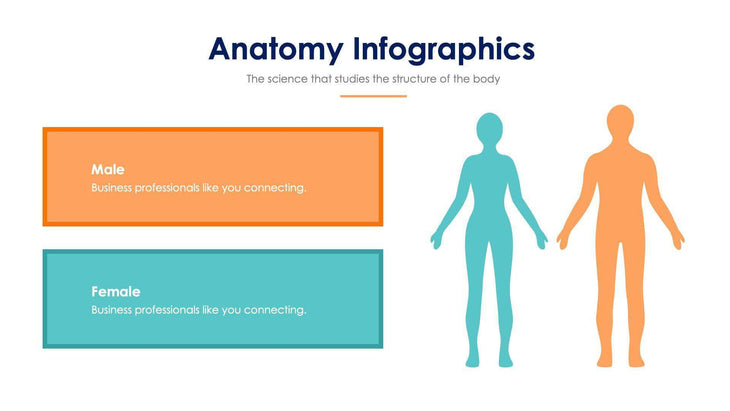Anatomy Slide Infographic Template S11192113-Slides-Anatomy-Slides-Powerpoint-Keynote-Google-Slides-Adobe-Illustrator-Infografolio