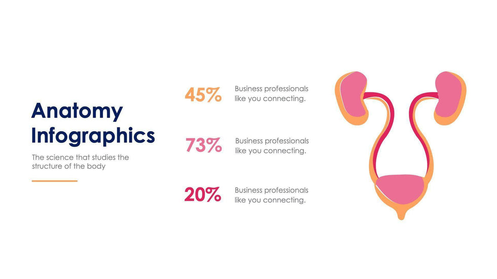 Anatomy Slide Infographic Template S11192117-Slides-Anatomy-Slides-Powerpoint-Keynote-Google-Slides-Adobe-Illustrator-Infografolio