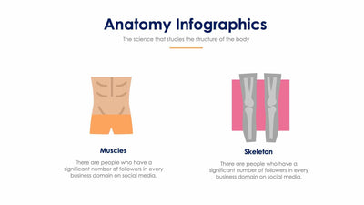 Anatomy Slide Infographic Template S11192123-Slides-Anatomy-Slides-Powerpoint-Keynote-Google-Slides-Adobe-Illustrator-Infografolio