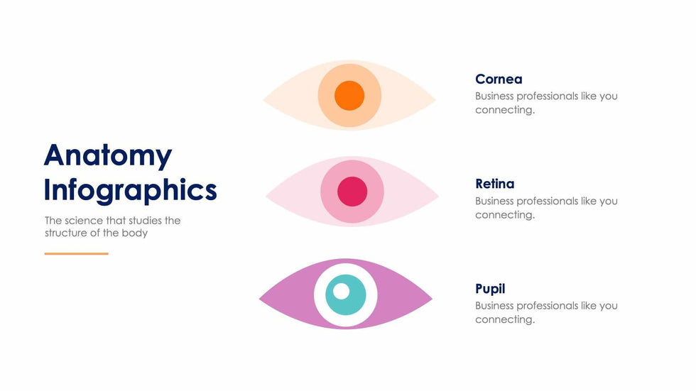 Anatomy Slide Infographic Template S11192124-Slides-Anatomy-Slides-Powerpoint-Keynote-Google-Slides-Adobe-Illustrator-Infografolio