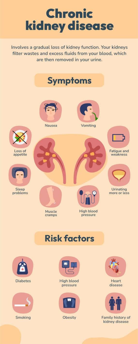 Orange Light Chronic Kidney Disease Health Infographic Template ...