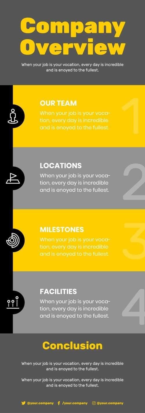 Company Overview Infographics – Infografolio