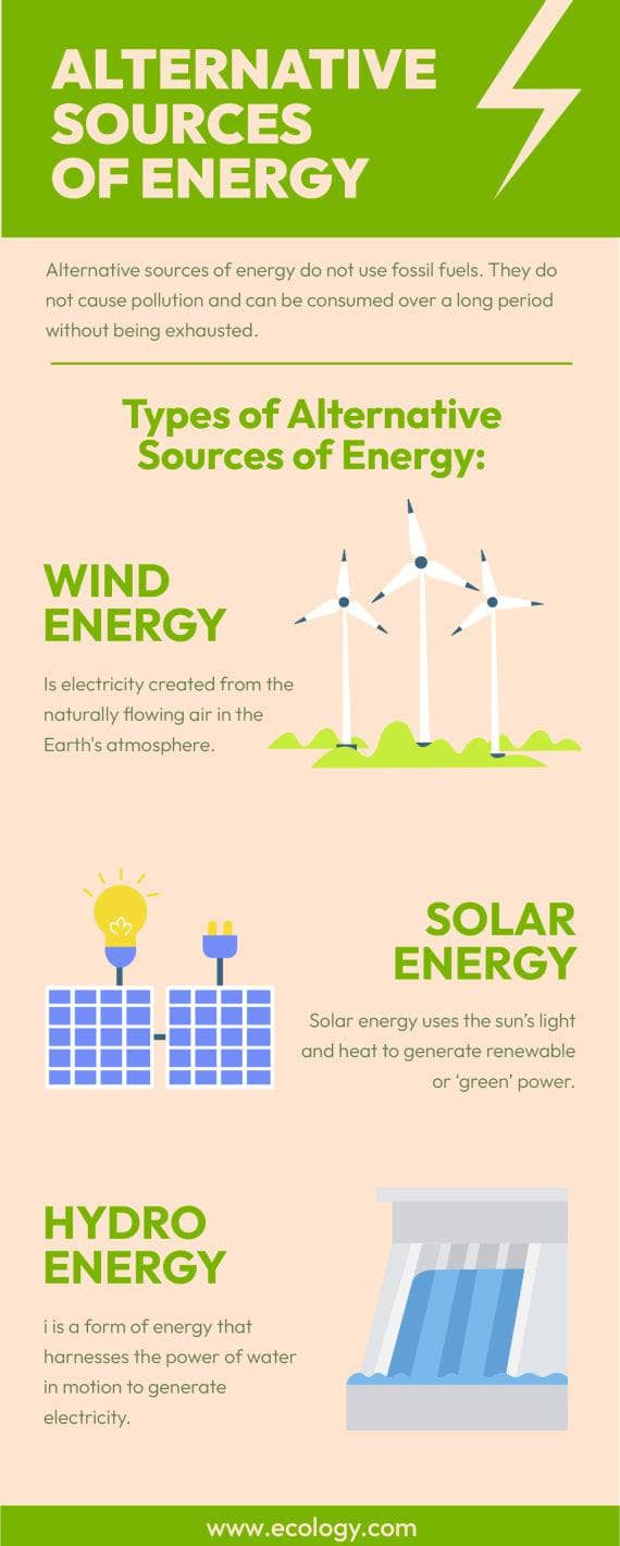 Alternative Sources of Energy Environment Infographic Template ...