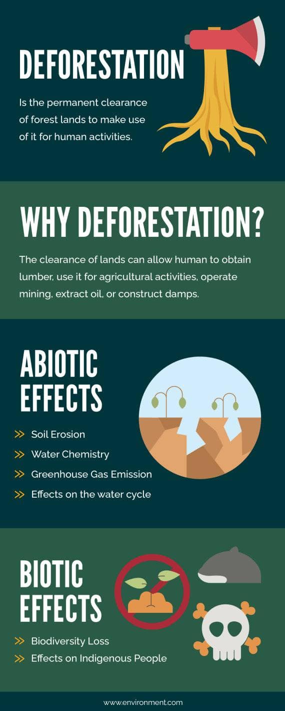 Deforestation Environment Infographic Template – Infografolio