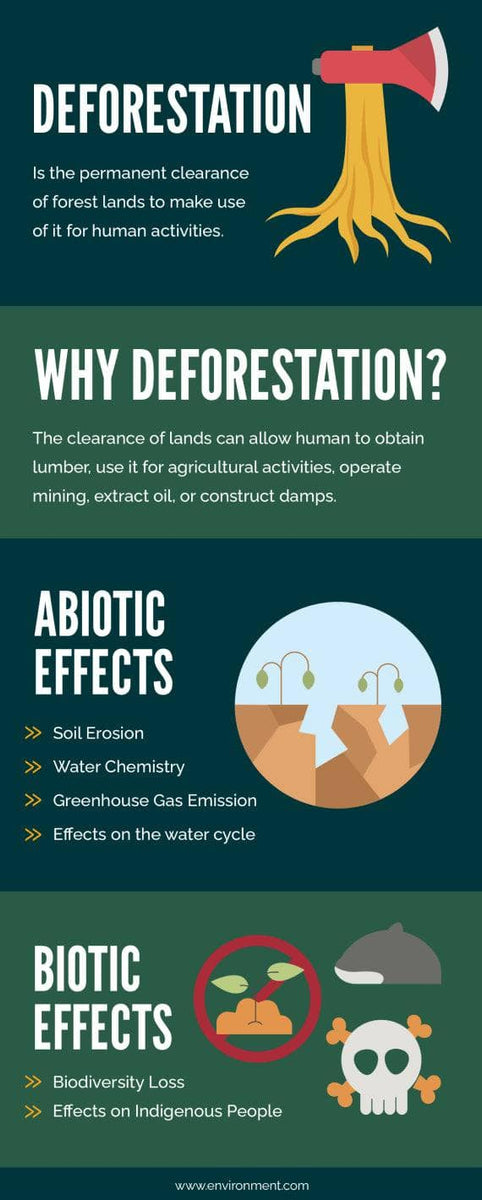 Deforestation Environment Infographic Template – Infografolio