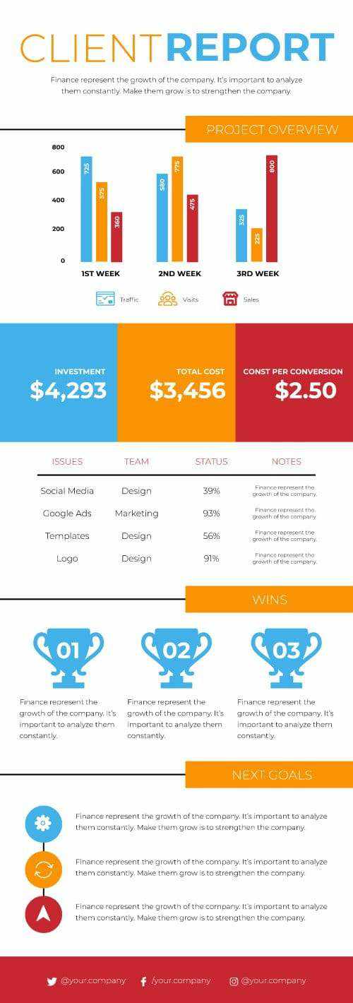 Three Colors Client Report Infographic Template | Infografolio