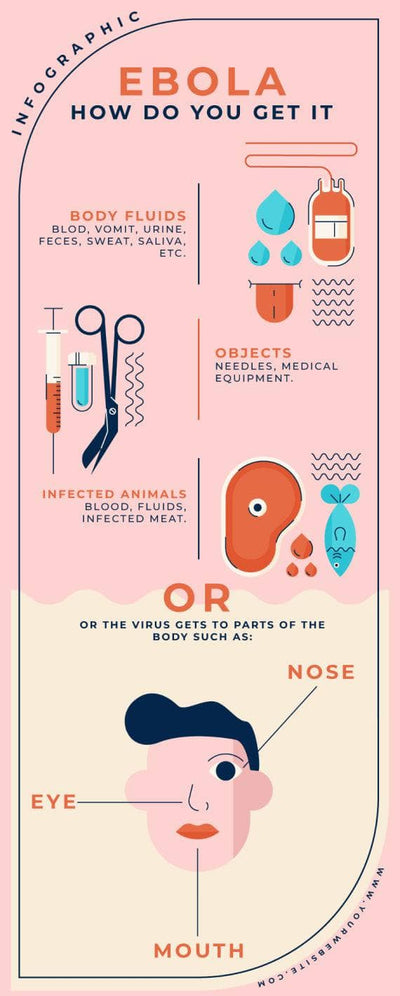 Health-Infographics Infographics Ebola How Do You Get it Health Infographic Template powerpoint-template keynote-template google-slides-template infographic-template