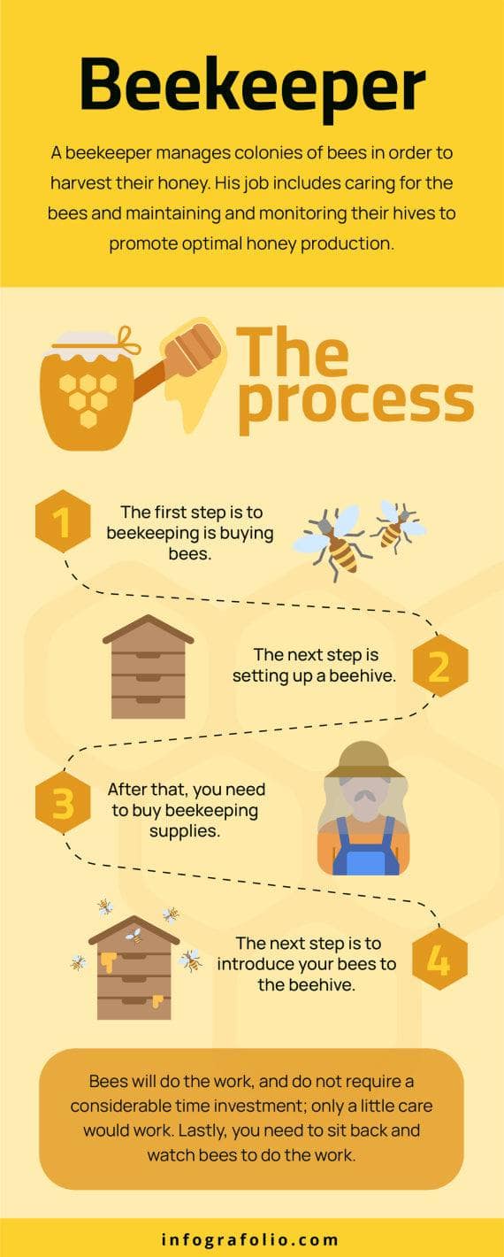 Process Of Apiculture Beekeeping Process