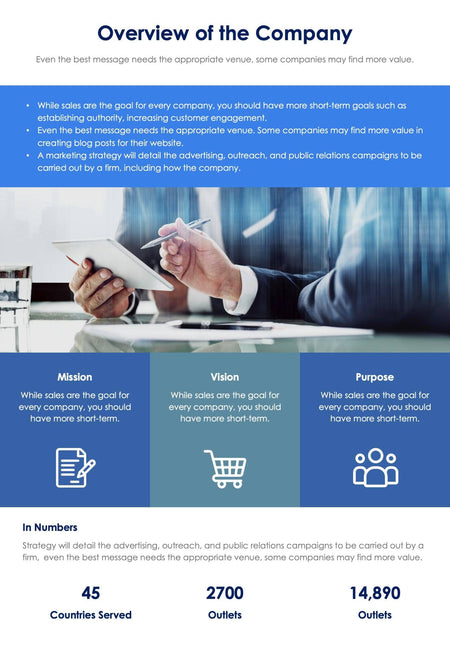 Blue Overview of the Company One Page Report Document | Infografolio