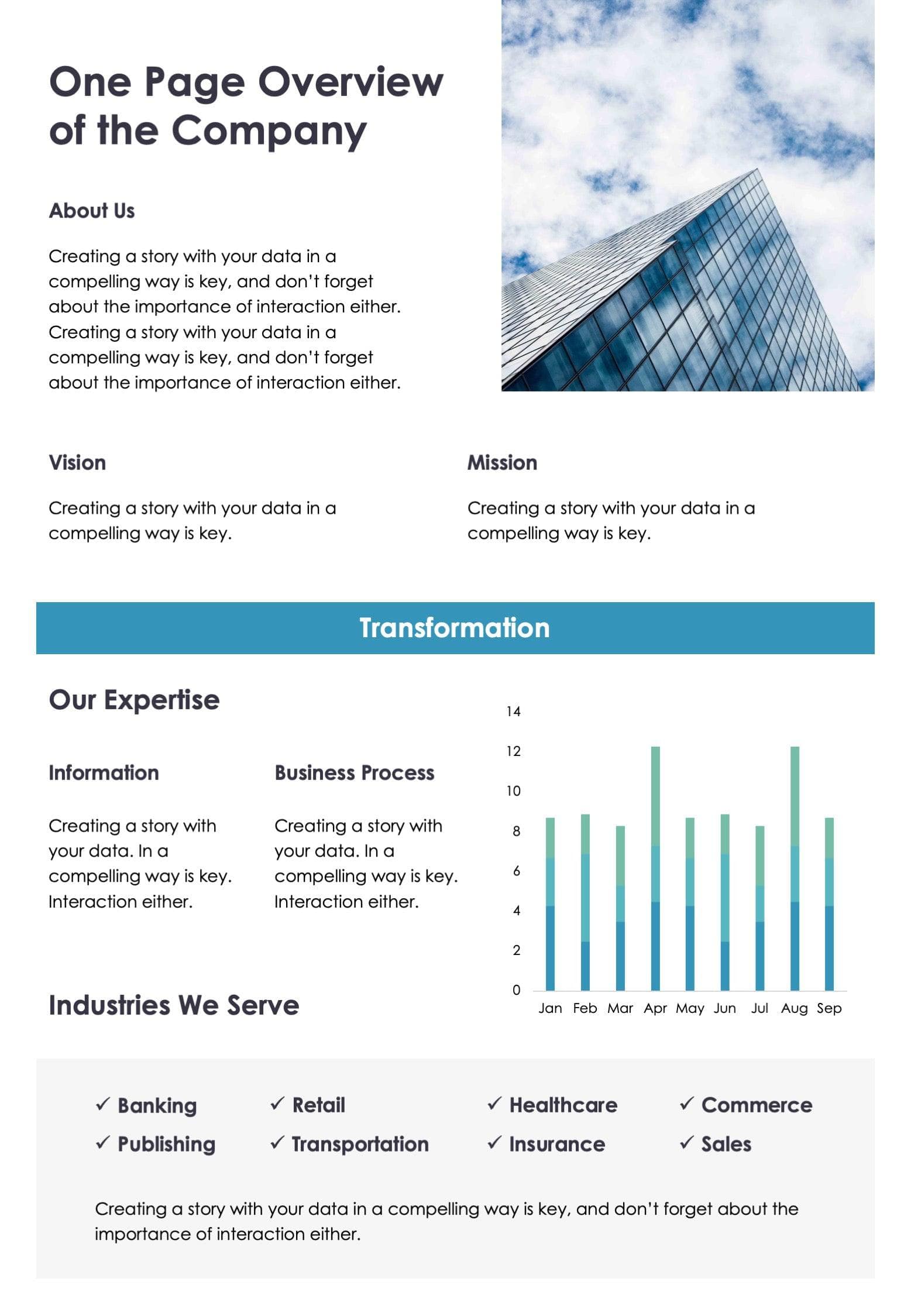 One Page Overview of the Company Document Report | Infografolio