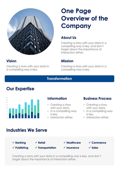 One-Pagers-Infographics Infographics White and Blue Overview of the Company One Page Summary Report Document powerpoint-template keynote-template google-slides-template infographic-template