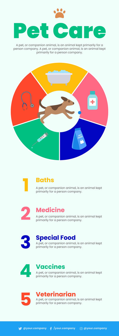 Pet-Care-Infographics Infographics Colorful Pet Care Infographic Template powerpoint-template keynote-template google-slides-template infographic-template