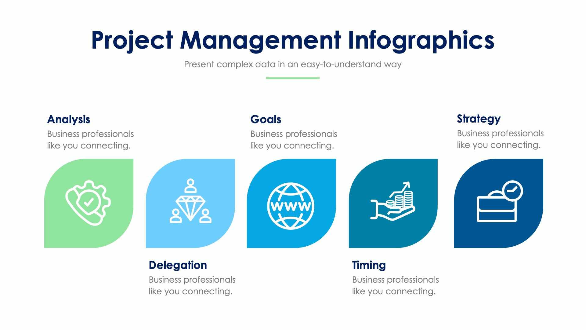 Project Management Slide Infographic Template S01302213 