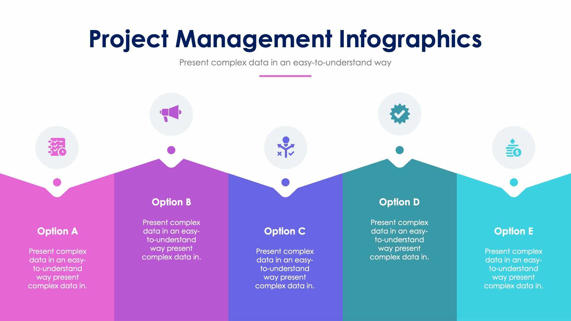 Project Management Slide Infographic Template S12142116 | Infografolio