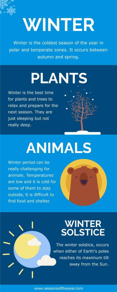 Seasons-Infographics Infographics Blue Winter Seasons of the Year Infographic Template powerpoint-template keynote-template google-slides-template infographic-template