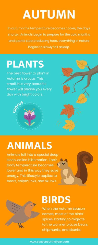 Seasons-Infographics Infographics Cyan and Orange Autumn Seasons of the Year Infographic Template powerpoint-template keynote-template google-slides-template infographic-template