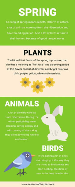Seasons-Infographics Infographics Green Spring Seasons of the Year Infographic Template powerpoint-template keynote-template google-slides-template infographic-template